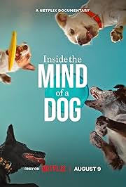 Inside the Mind of a Dog WebRip_480p | 720p | 1080p x265_HEVC_10bit_Hindi_English