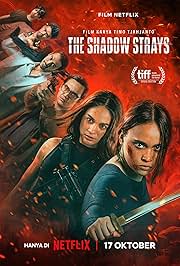 The Shadow Strays (2024) WEBRip [Hindi + English] ESub