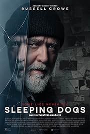 Sleeping Dogs (2024) AMZN Hindi WEB-DL DDP2.0